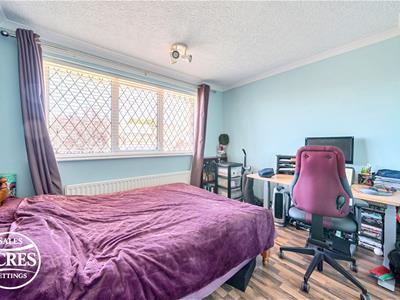 Picture 13